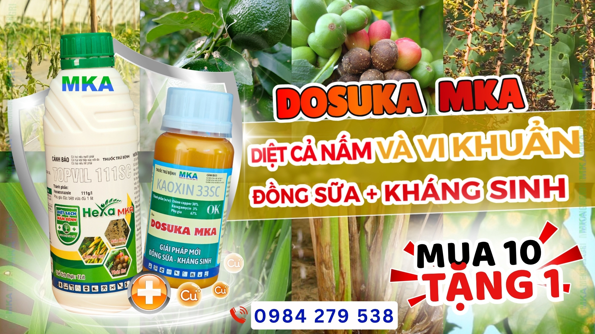Dosuka MKA 33SC thuốc trừ nấm và vi khuẩn đồng sữa kháng sinh